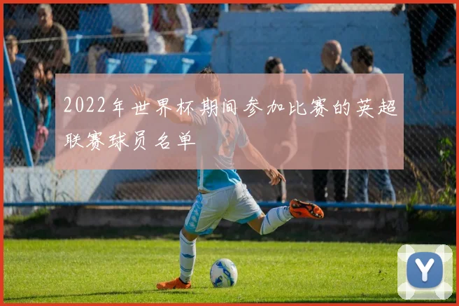 2022年世界杯期间参加比赛的英超联赛球员名单