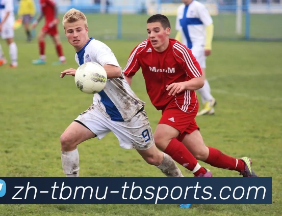 天博体育服务体系